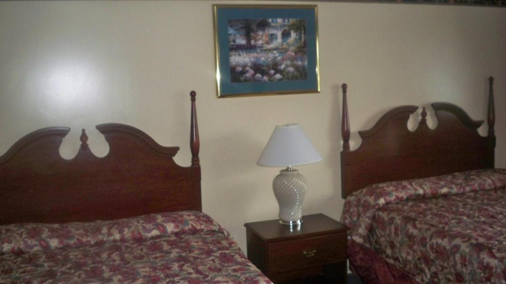 Catalina Airport Motel Avon Værelse billede